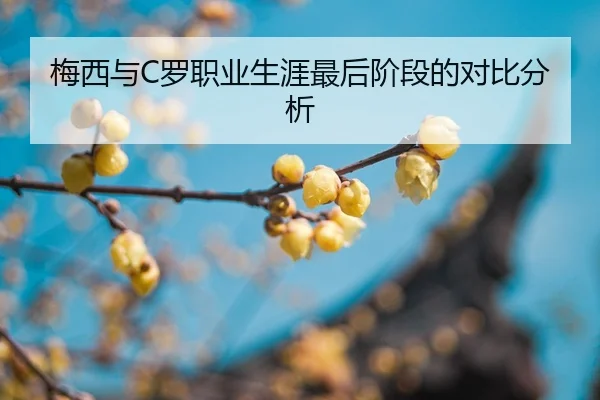 mei-xi-yu-luo-zhi-ye-sheng-ya-zui-hou-jie-duan-de-dui-bi-fen-xi-2-185.jpg