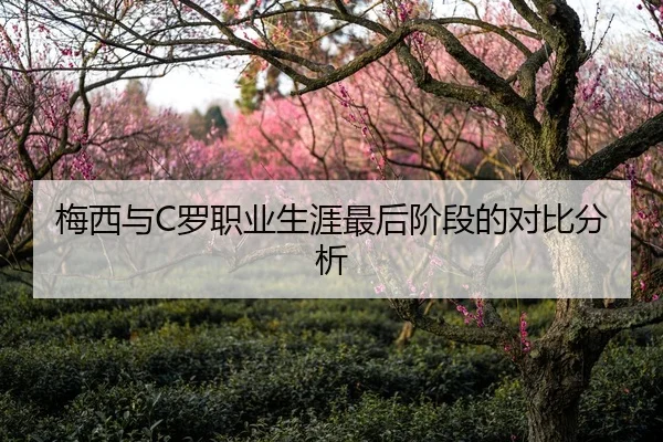 梅西与C罗职业生涯最后阶段的对比分析
