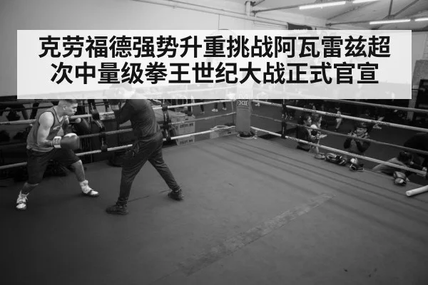 boxer training gym